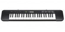 Casio CTK-245