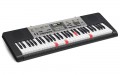 CASIO LK-260